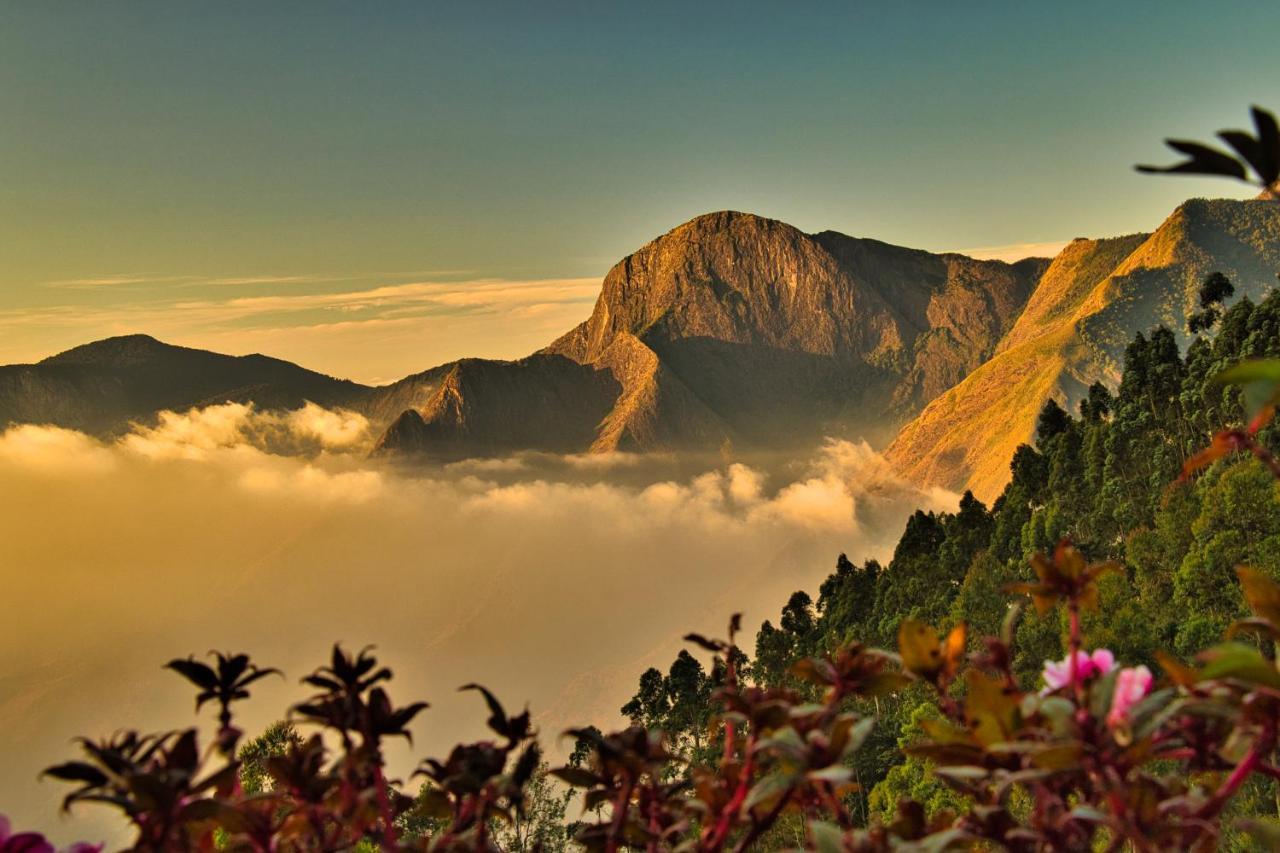 Chandys Drizzle Drops - Munnar Top Station Экстерьер фото