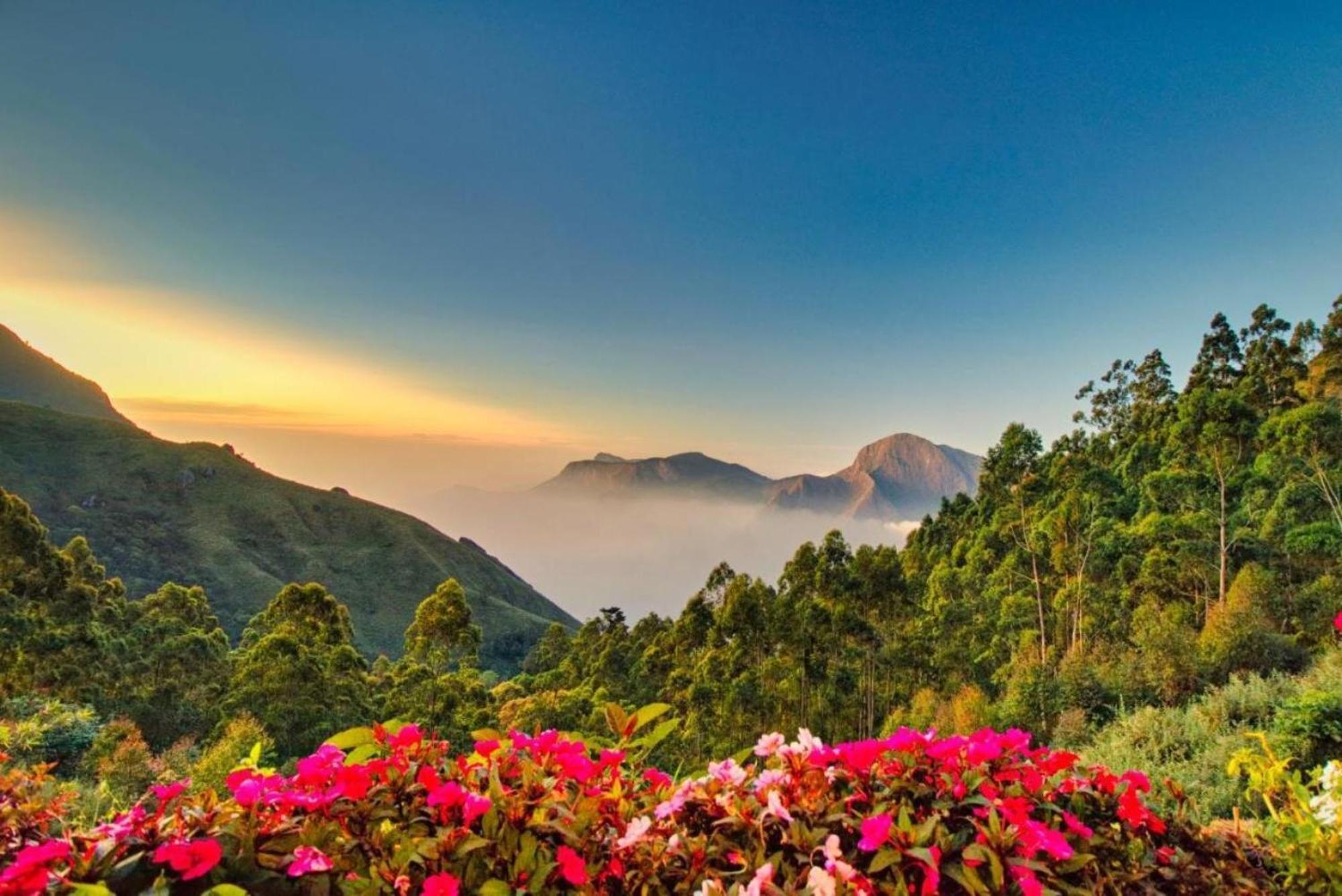 Chandys Drizzle Drops - Munnar Top Station Экстерьер фото